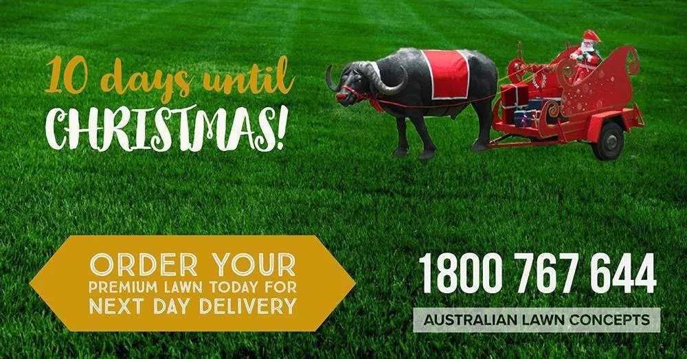 10 Days Until Christmas You've Still Got Time!