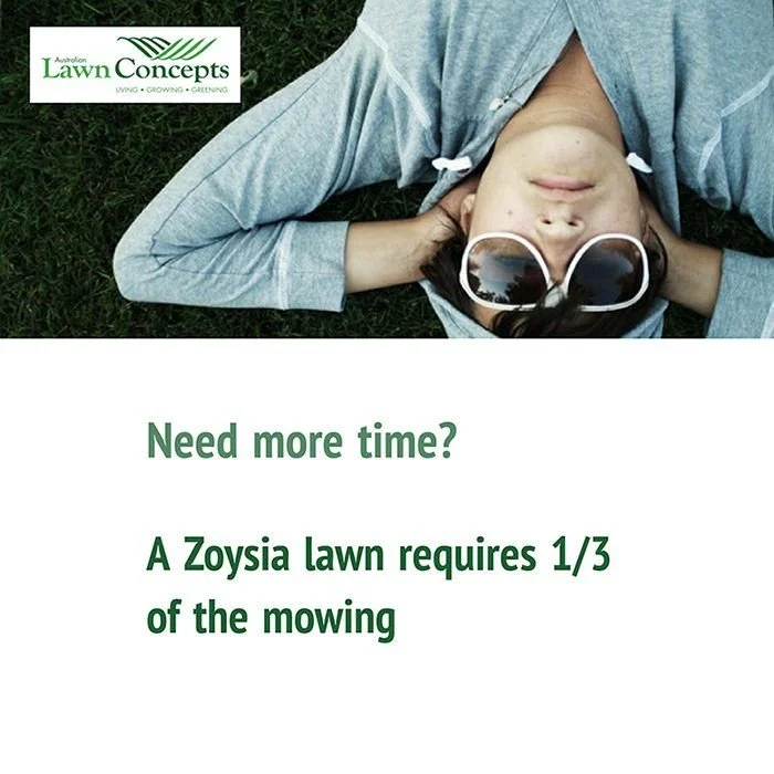 A Zoysia Lawn Requires A Third Of The Mowing