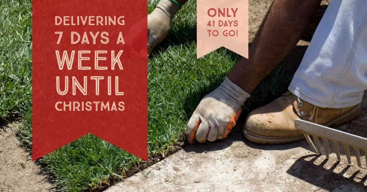 Delivering 7 Days A Week Until Christmas Only 41 Days To Go