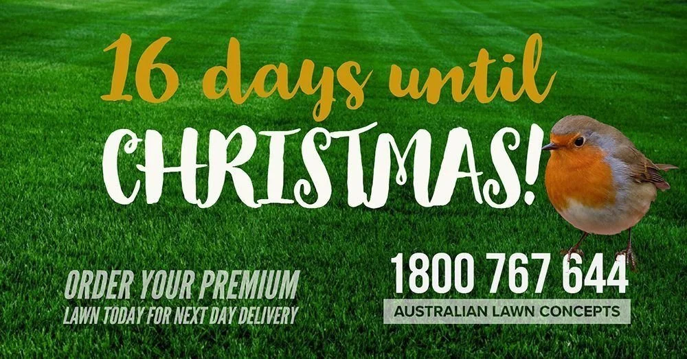 16 Days Until Christmas
