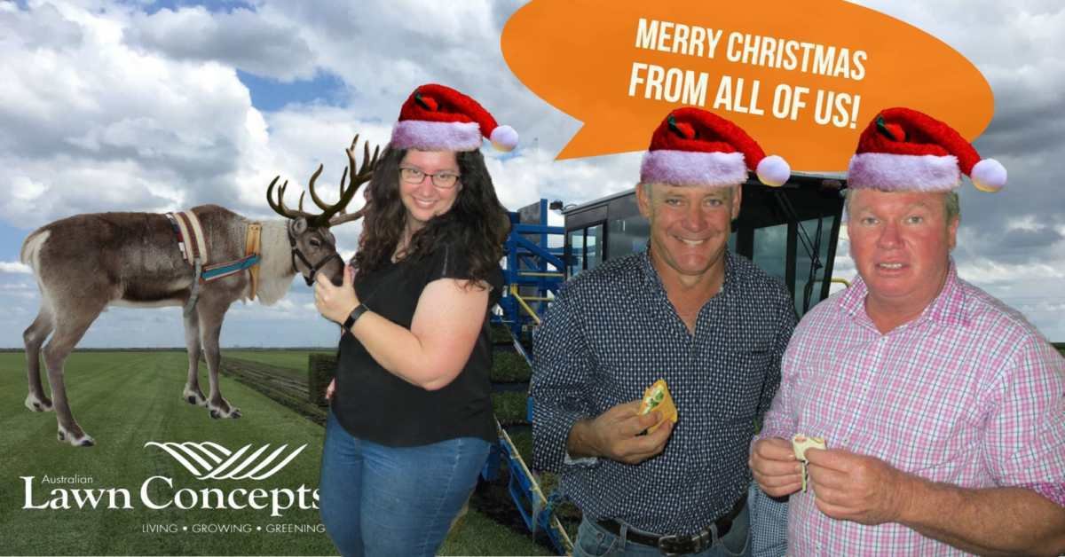 Merry Christmas From All Of Us!