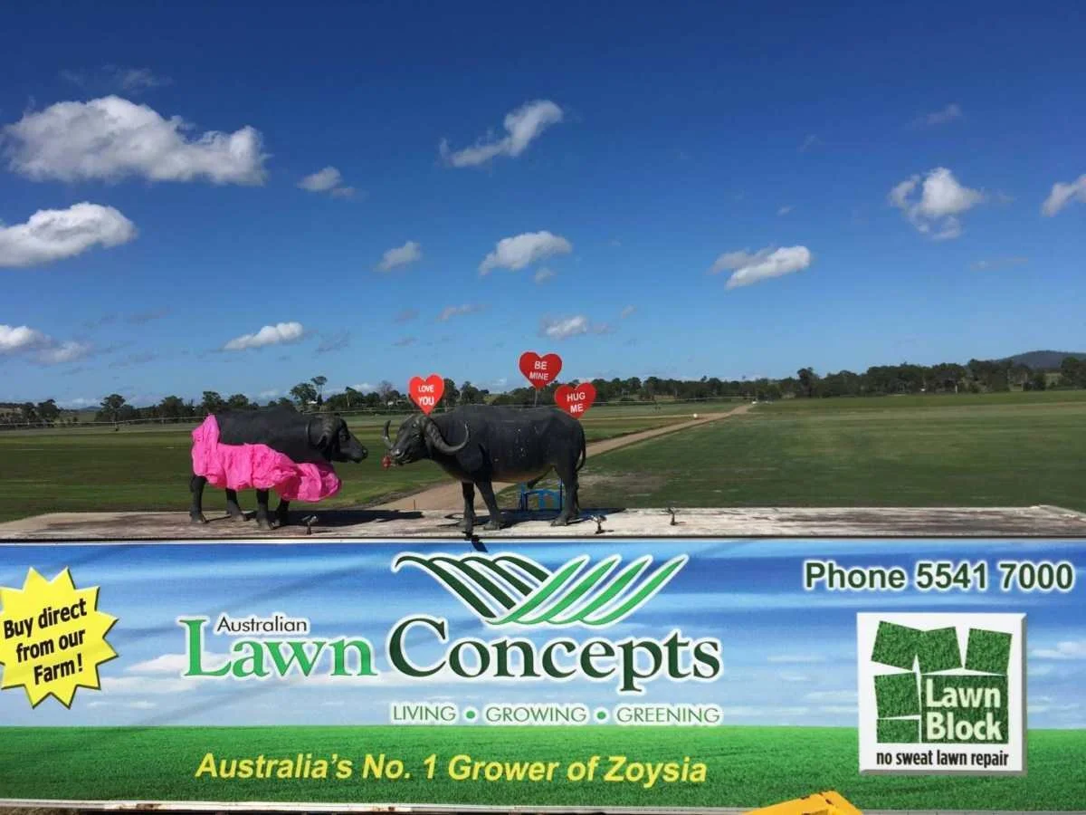 We Love You All! Happy Valentines Day From Australian lawn Concepts