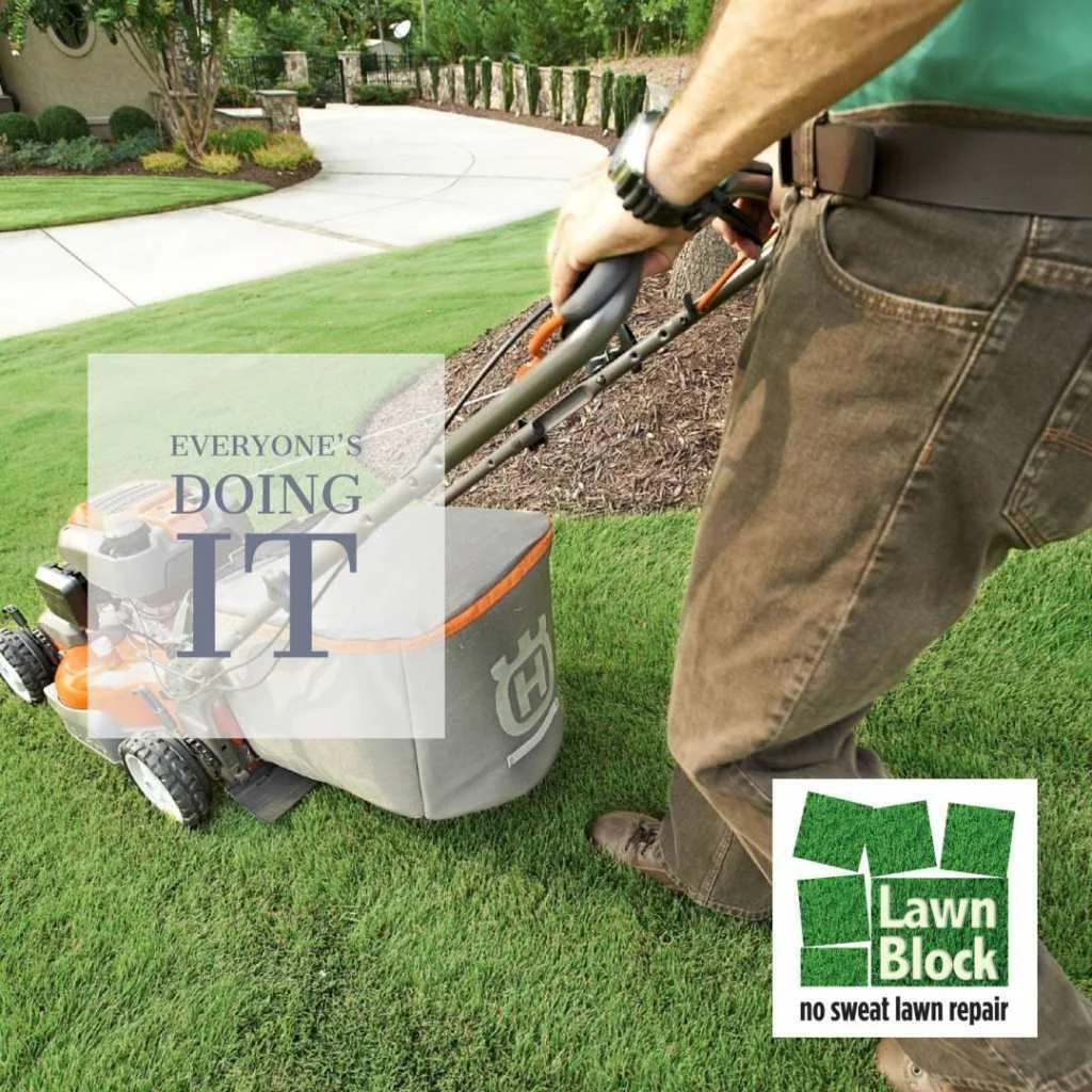 Lawn Block Instant Lawn Repair