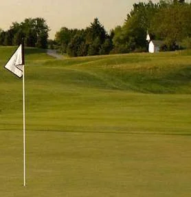 Zoysia As A Game Changer!