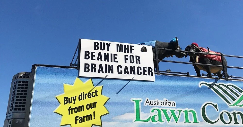 Support a great cause buy your 'Beanie for Brain Cancer'