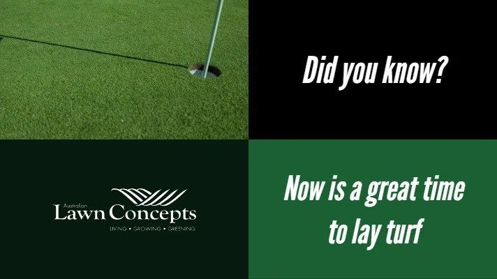 Did you know now is a great time to lay turf?
