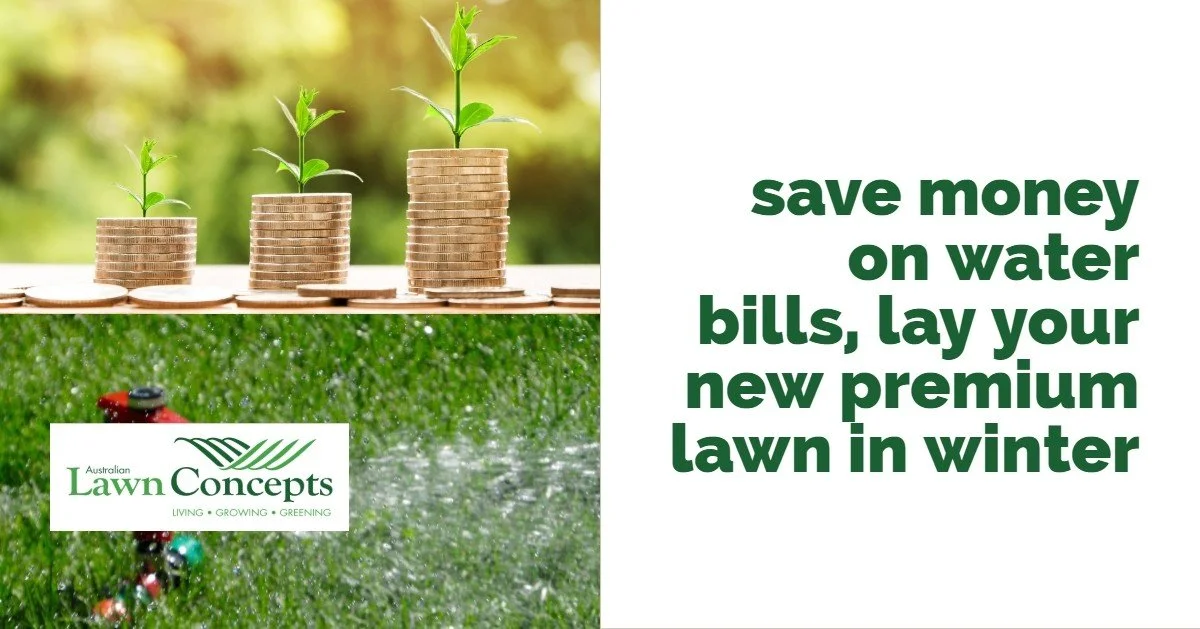 Lay your new lawn in Winter
