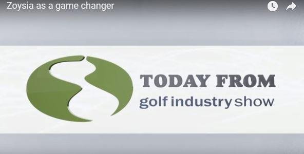 Get your Game Changing Zoysia Lawn