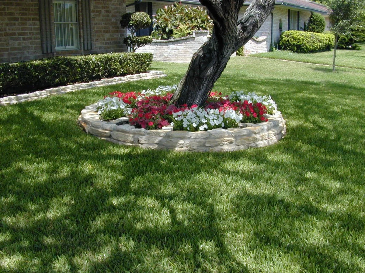 Turf Varieties in Australia: The 2026 Guide to Picking the Right Grass for Your Lawn