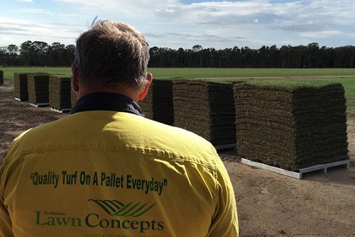 Quality Turf On A Pallet Every Day Call 1800 767 644
