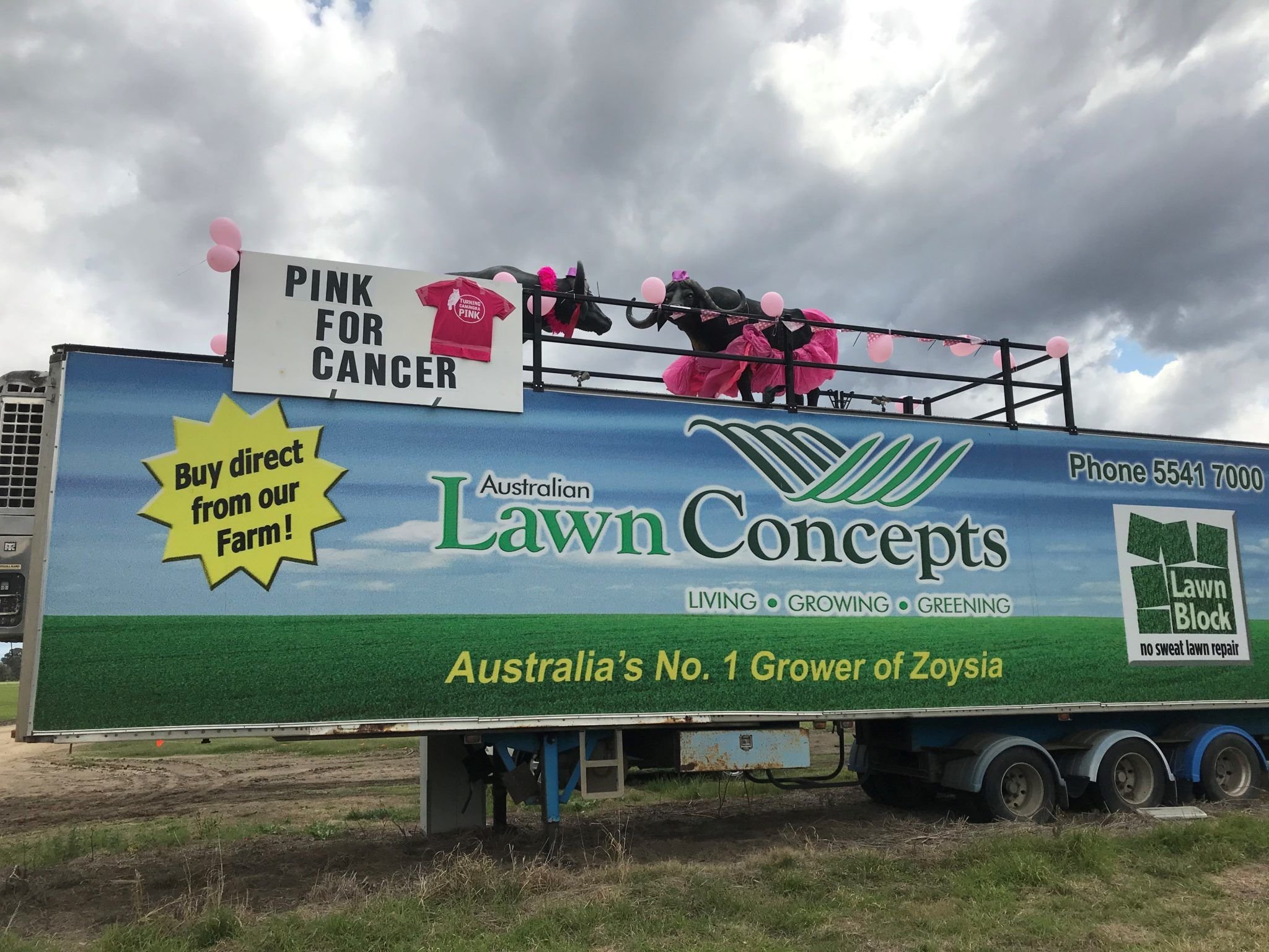 Supporting 'Turning Canungra Pink'