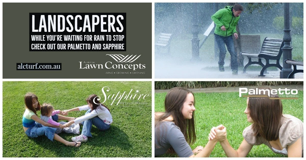 Landscapers Check Out Our Palmetto and Sapphire Turf