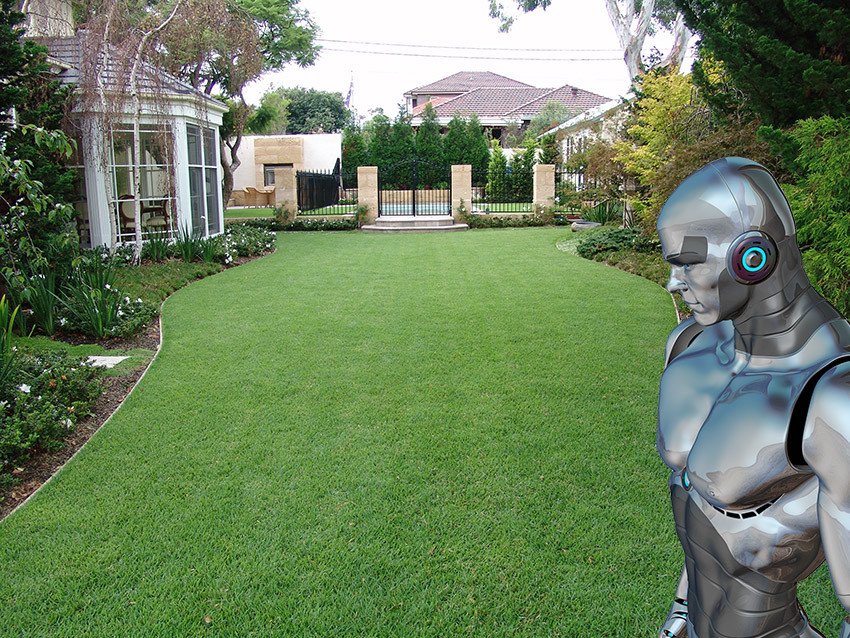 Zoysia is The Lawn of The Future