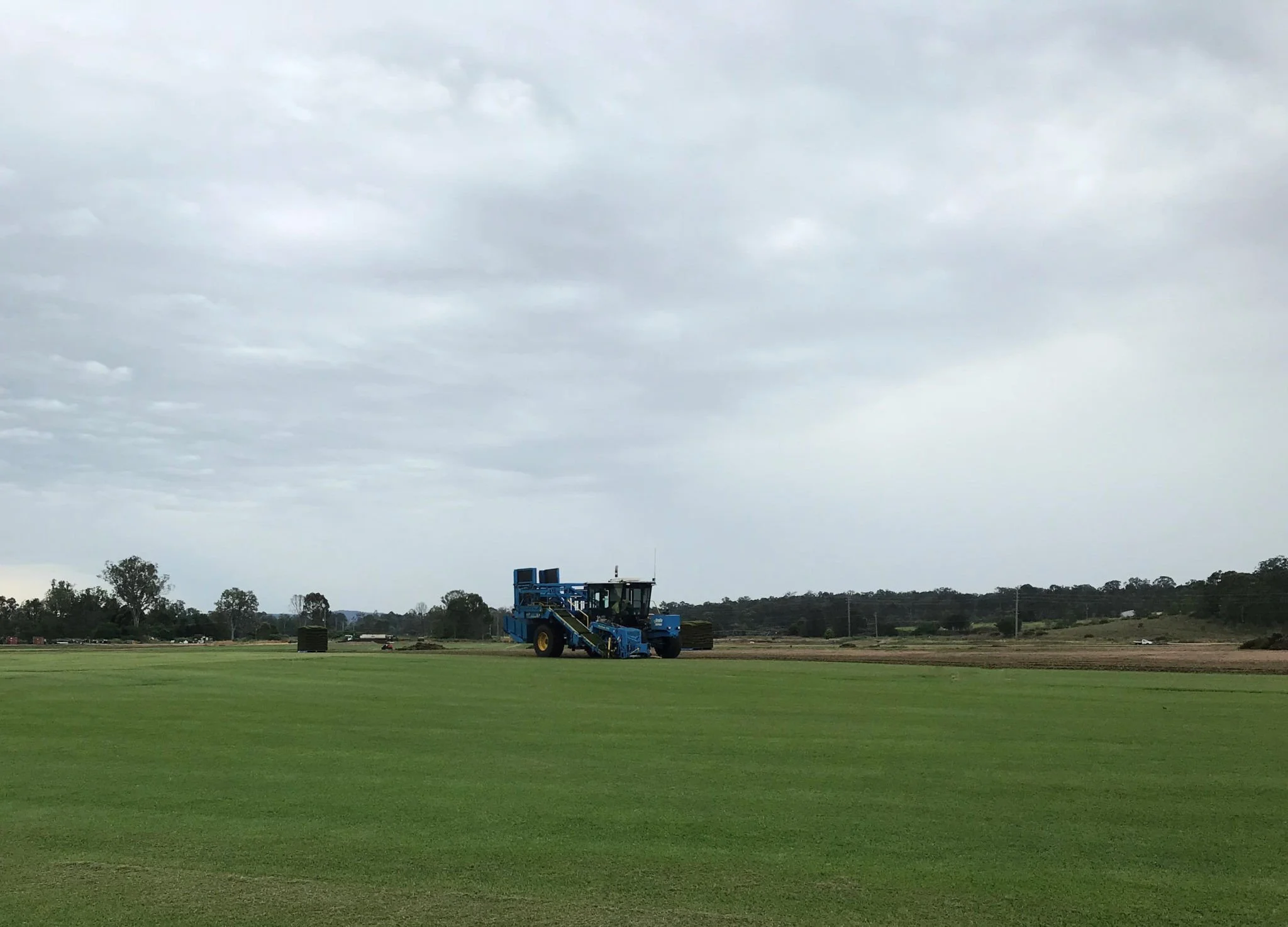Premium quality turf on a pallet every day!