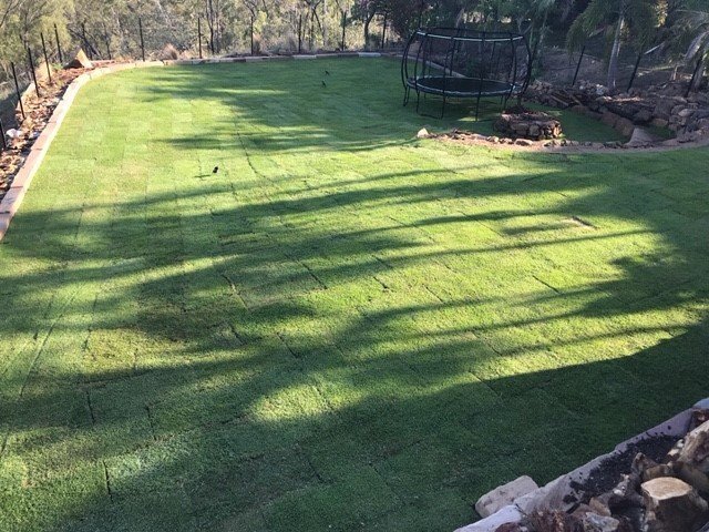 A new Zoysia lawn for this happy customer!