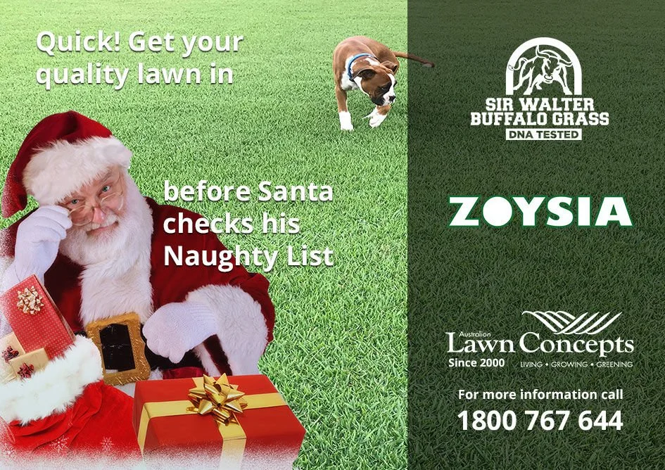 Quick get your quality lawn in
