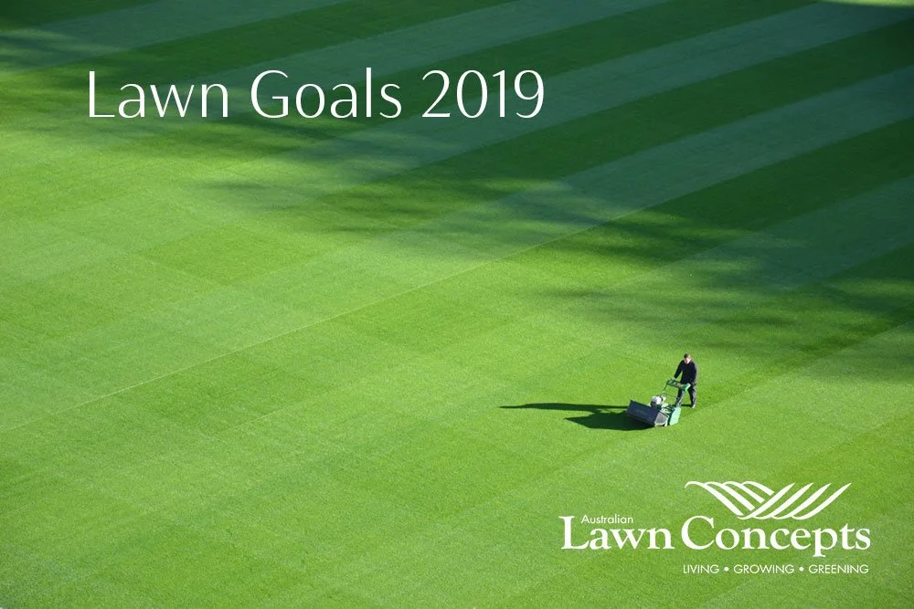 Lawn Goals 2019 - Happy New Year Everyone!