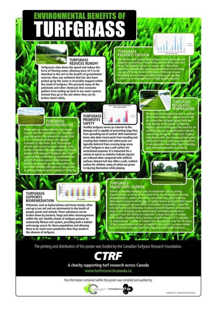 The Environmental Benefits of Turf Grass