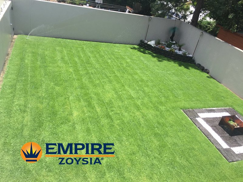Thank you to this happy customer from Ashgrove enjoying the results of our Empire Zoysia Grass