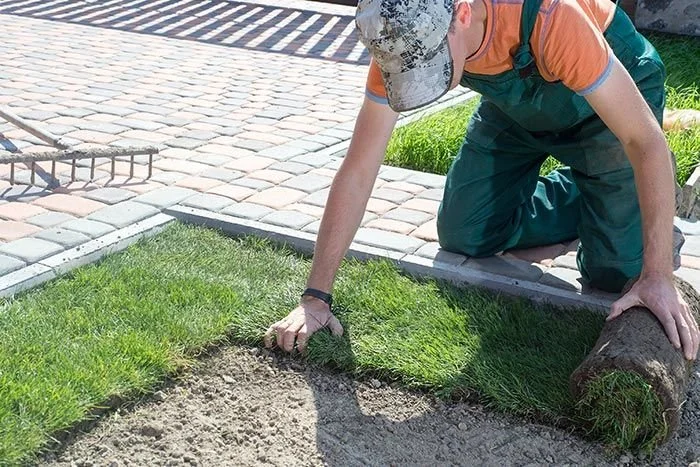 Save Heaps of Water, Lay Your Premium Quality Lawn Now