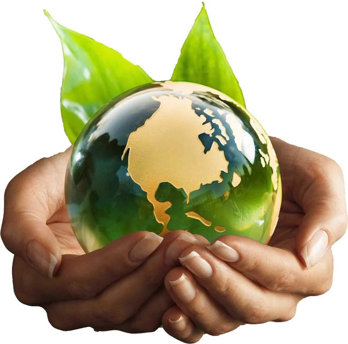 We Focus on the Environment Every Day
