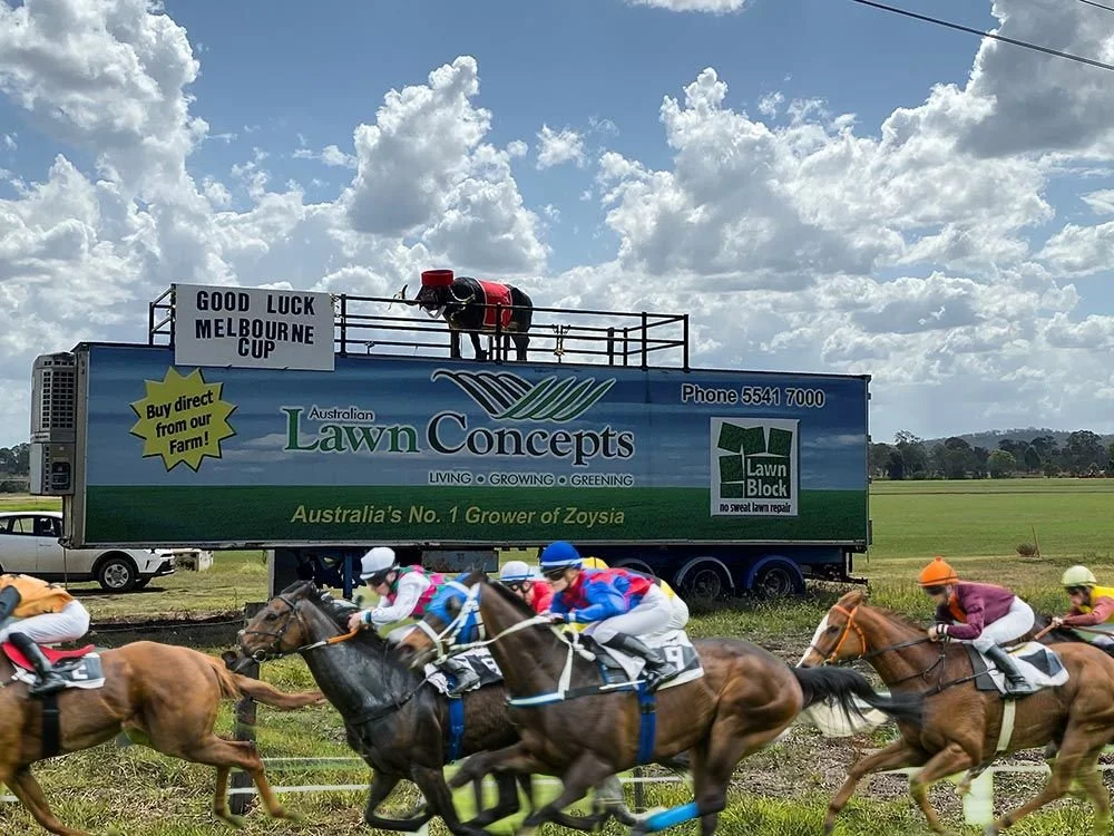 Good Luck for The Melbourne Cup Everyone