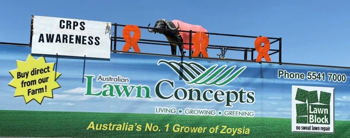 November CRPS Complex Regional Pain Syndrome Awareness