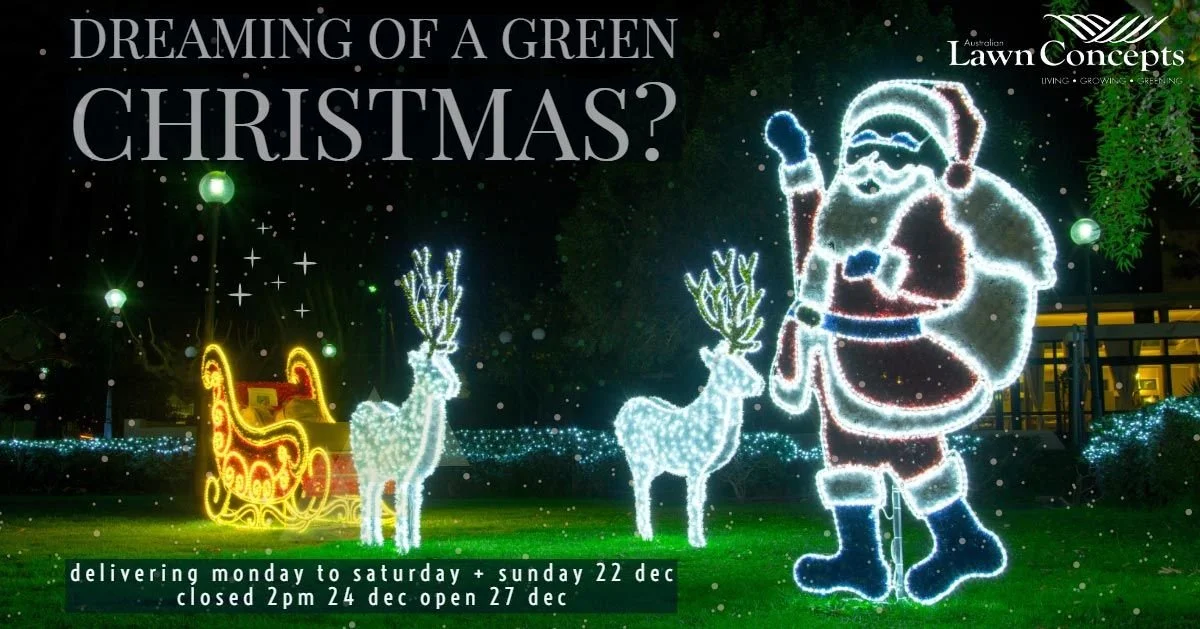 Get A New Lawn if You're Dreaming of a Green Christmas