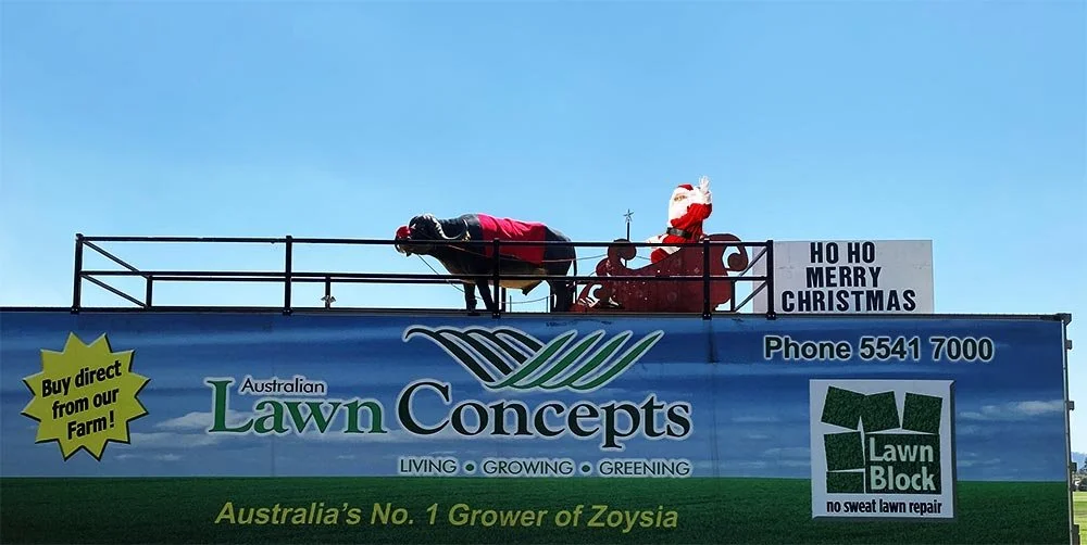 Merry Christmas Everyone! Still Not Too Late For Your New Instant Lawn