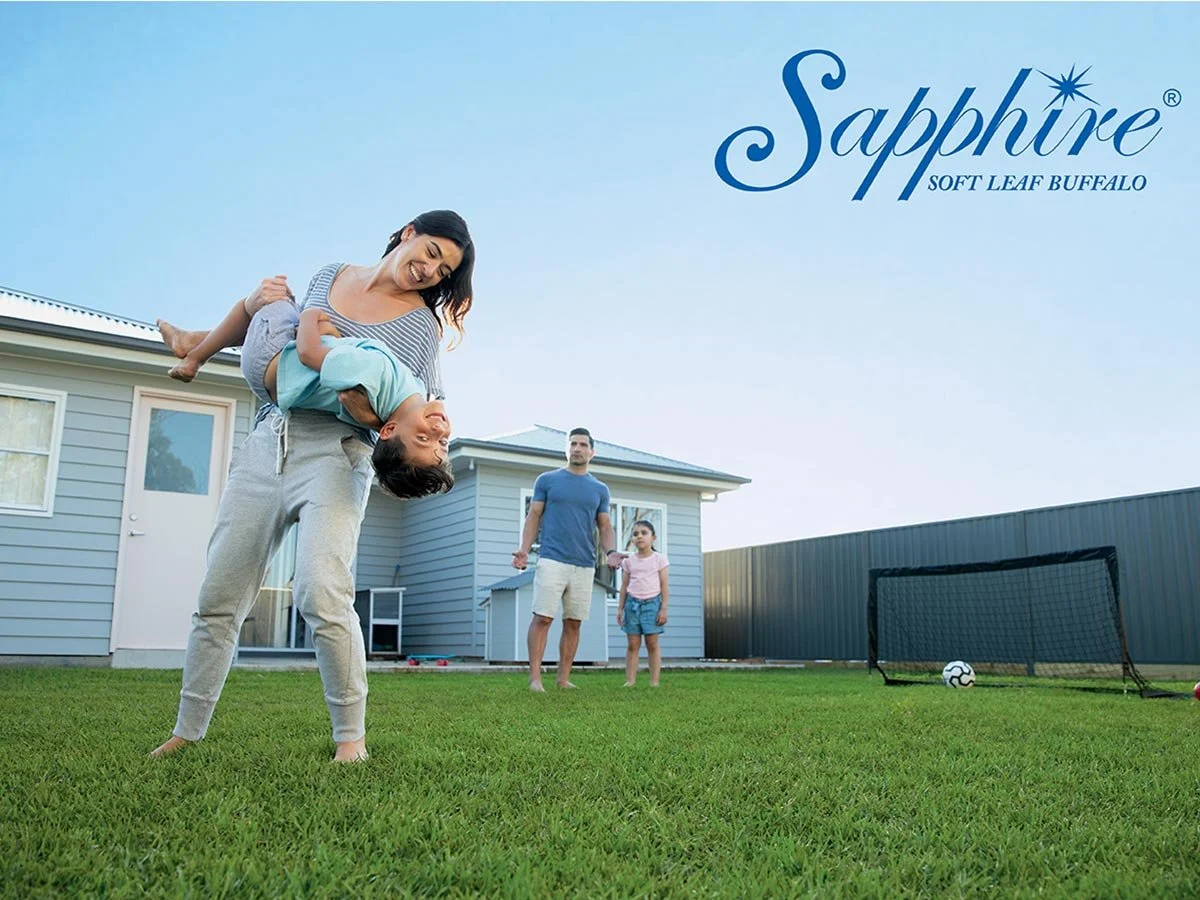 Why Sapphire Feels Softer Than Any Other Buffalo Grass