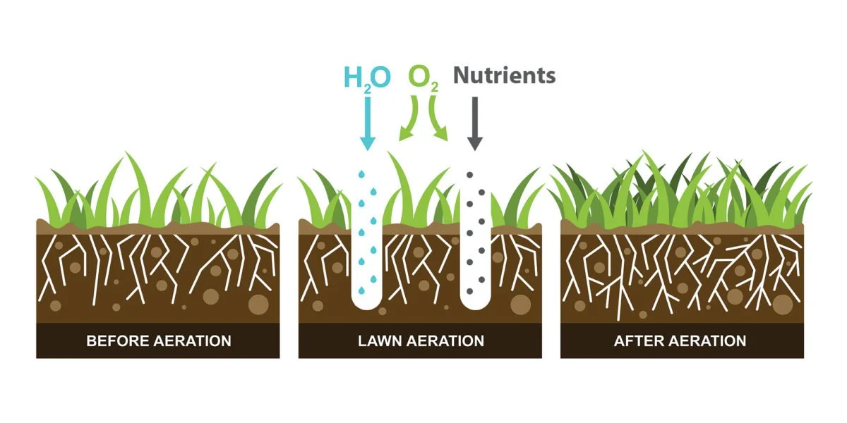 Turf Tips - Lawn Aeration