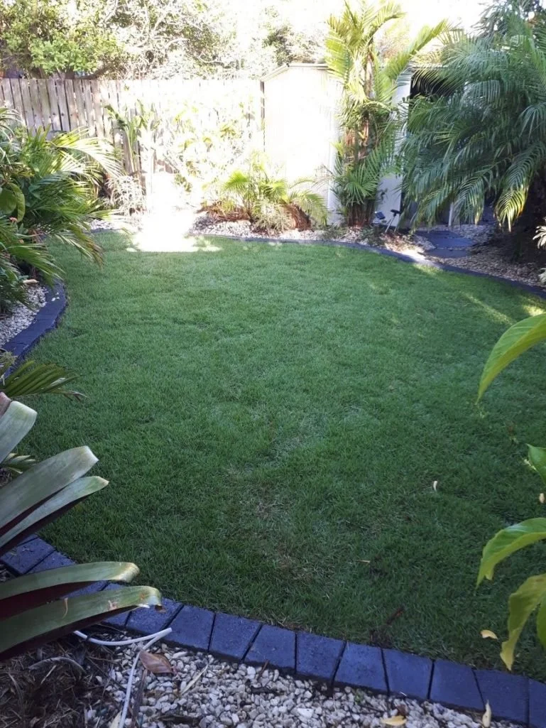 Empire Zoysia Turf installation in Rochedale, looking sweeet