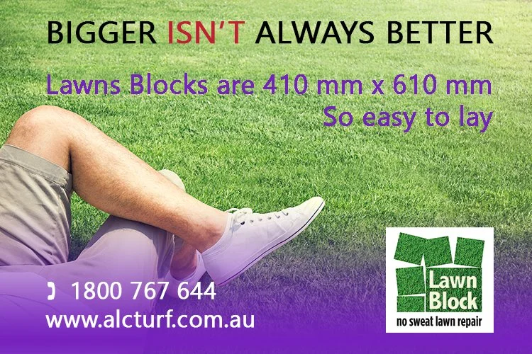 Lawn Block Turf Pieces are 410 mm x 610 mm ~ BIGGER ISN'T ALWAYS BETTER