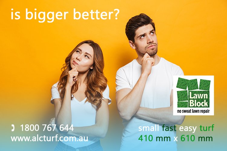 Is Bigger Better? Lawn Block Small Fast Easy Turf