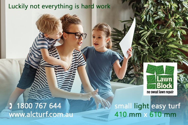 Luckily not everything is hard work ~ Lawn Block Turf 410 mm x 610 mm