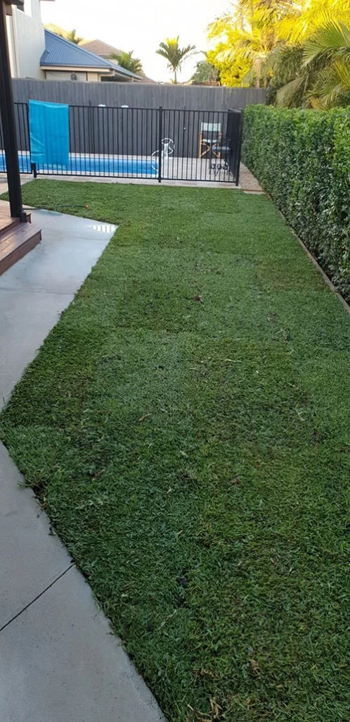 A beautiful landscape completed with Sir Walter Turf Grass.