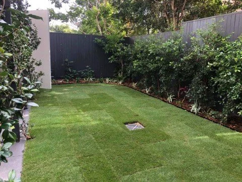 Before and After Augusta Zoysia turf installation