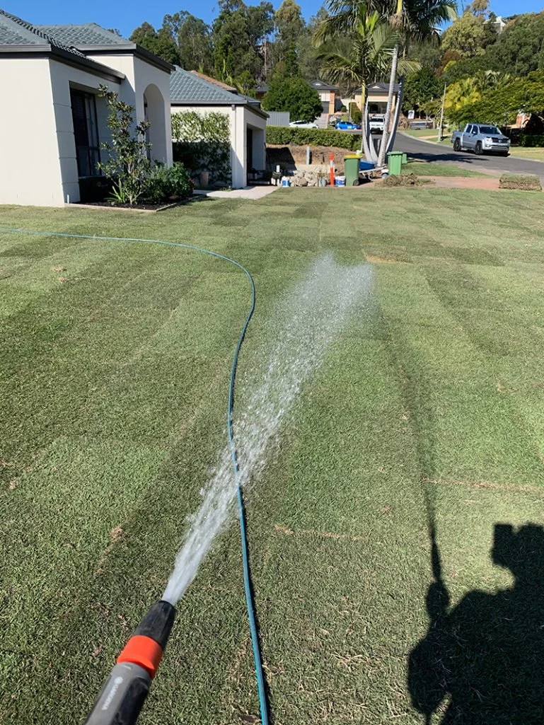 Another satisfied Empire Zoysia turf customer, thanks for the pic Peter!