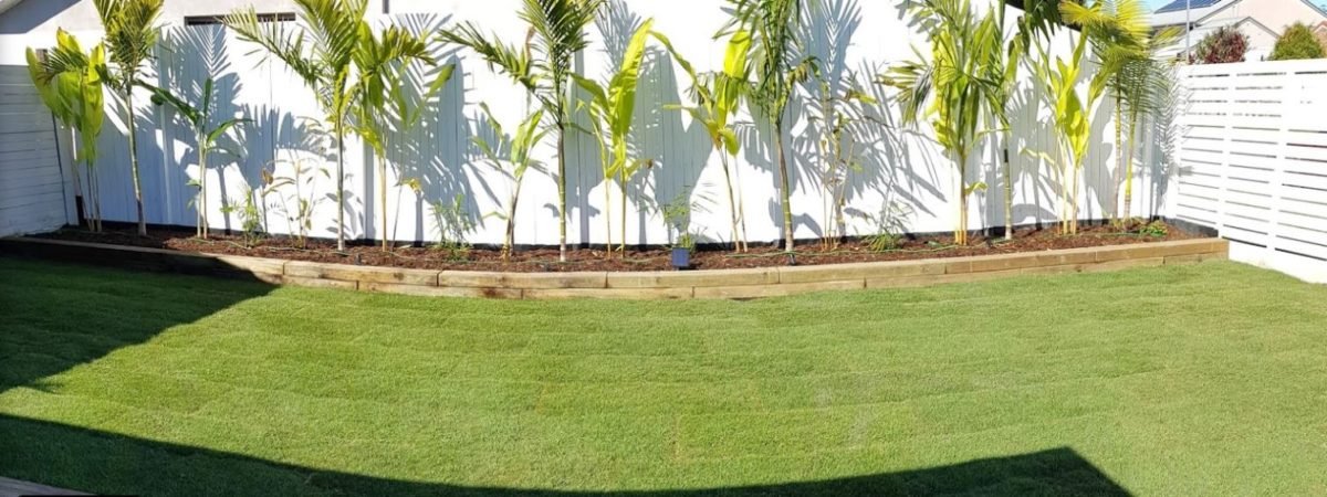 Wow 🤩 We really can’t get over how amazing the Augusta Zoysia turf looks in this beautiful yard