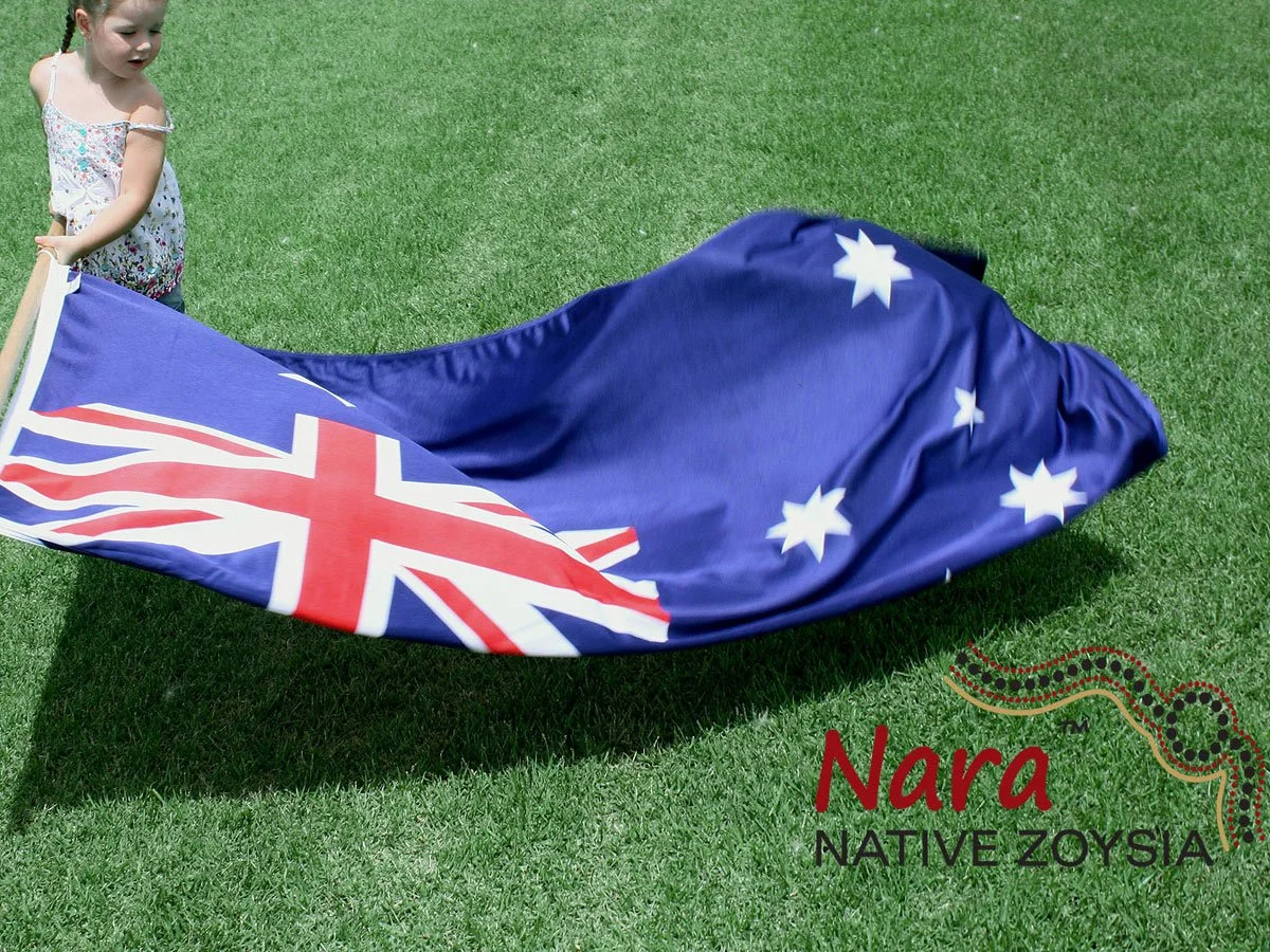 Nara Australian Native Zoysia Lawn