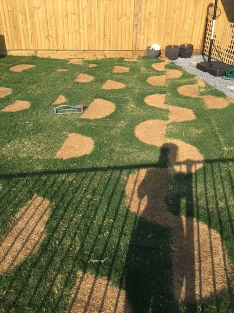 What is 'Pallet Burn' and why you are advised to lay your turf as soon as it is delivered?
