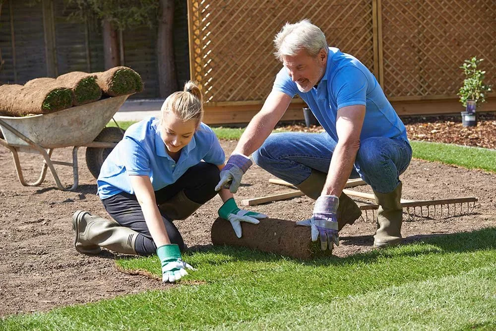 How To Lay Turf In Summer