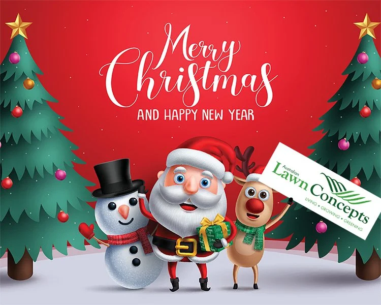 We would like to wish you all a very Merry Christmas and New Year!