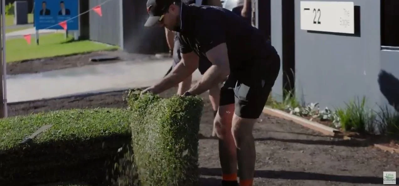 Thanks Burleigh Constructions for this video of our Sir Walter Buffalo turf
