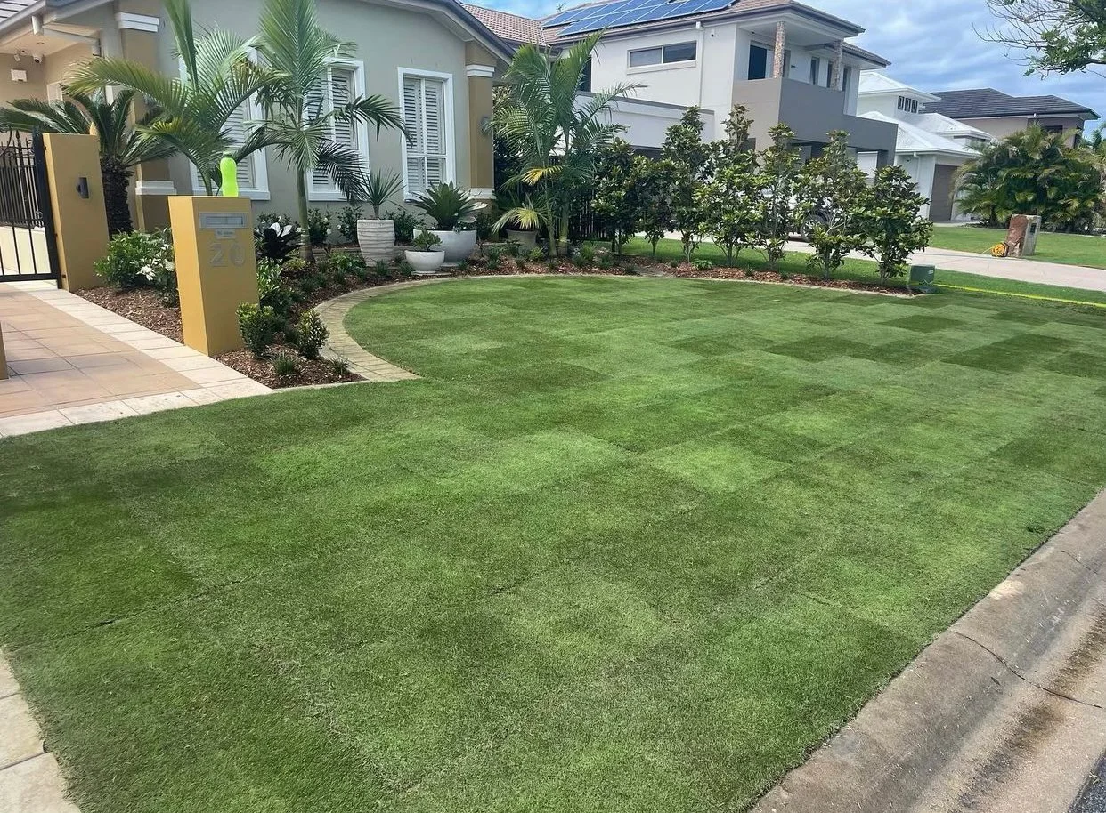 Augusta Zoysia Turf just been laid in Jacobs Well