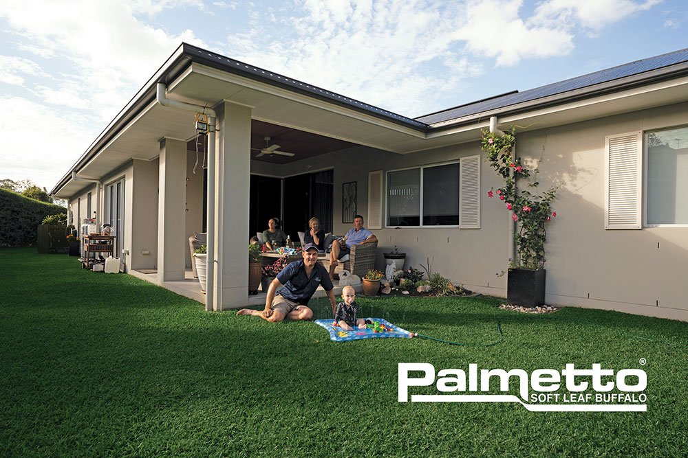 Palmetto Soft Leaf Buffalo Turf Lawn Guide Video