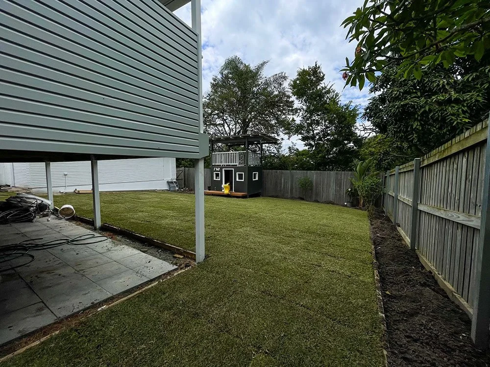 Sir Walter Buffalo Turf just gone down in Carina by Turf 2 U Co