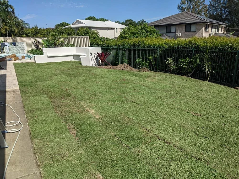 Empire Zoysia turf just gone down in Parkinson
