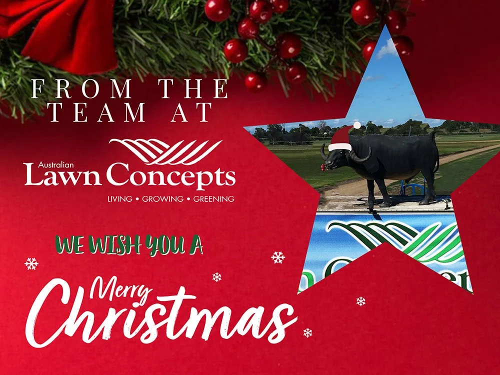 Merry Christmas from all the ALC Turf Team!