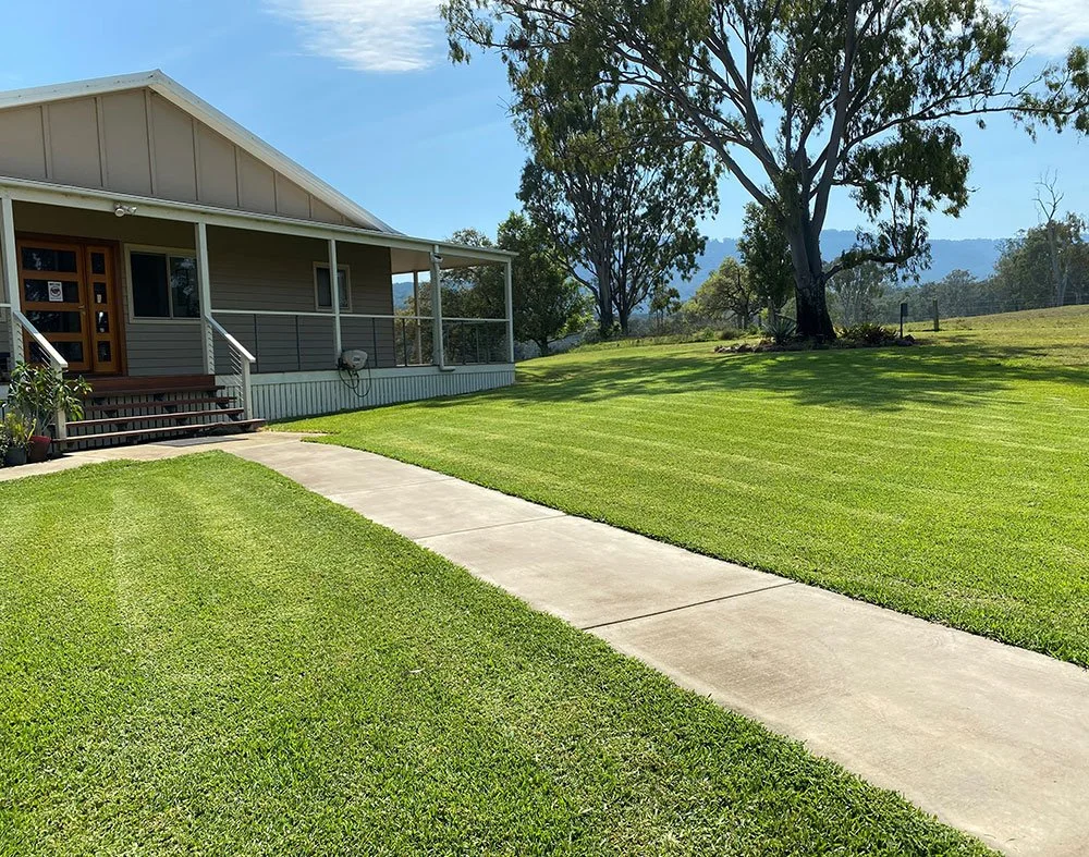 Buffalo Turf | Broad leaf, deep green lawn